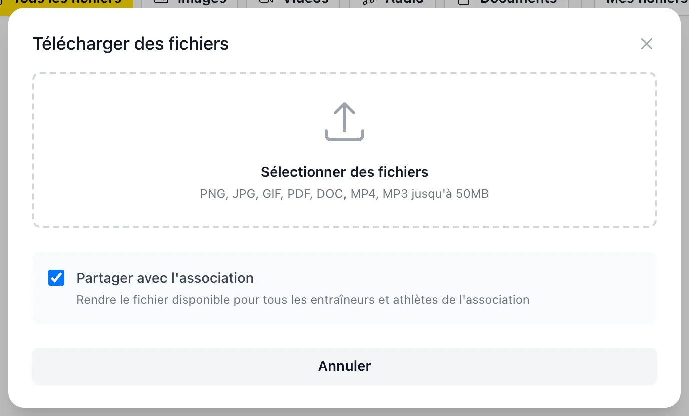 Fenêtre de téléversement de fichiers